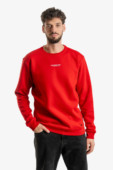 Sweatshirt "195 BOX".